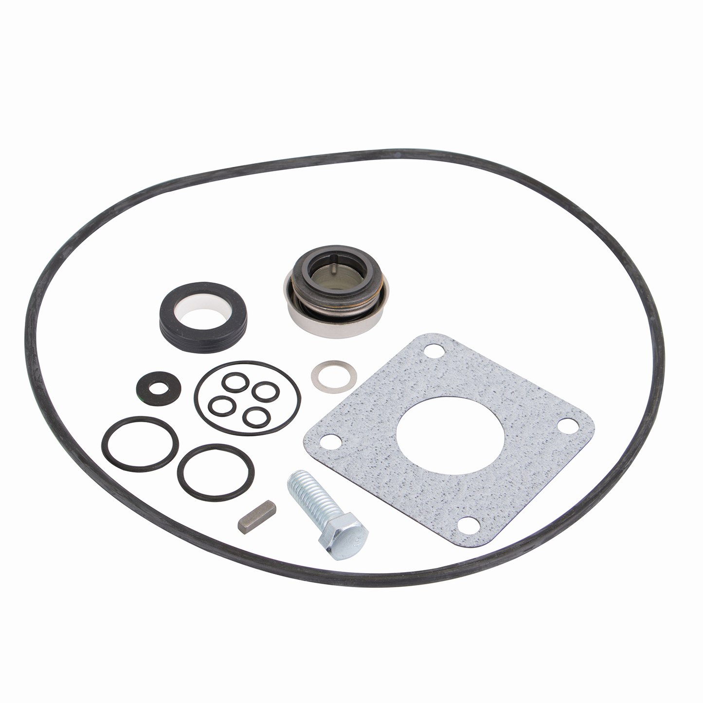 222 Pump Series Repair Kit | 15999 | Banjo Corporation | Type-Replacement Part