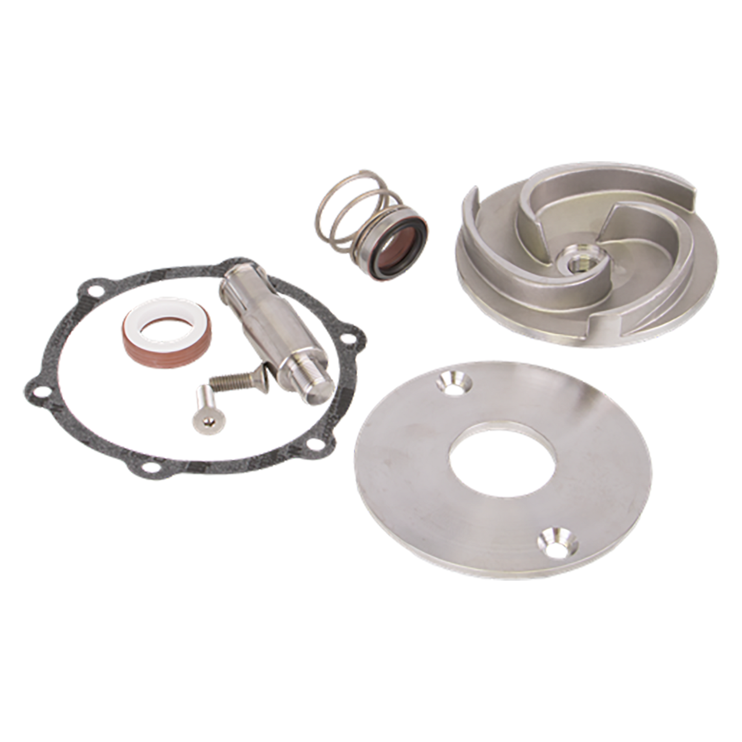 2-inch SS Pump Repair Kit | 17100SS | Banjo Corporation | Category-Pump, Size-2-inch, Type-Replacement Part