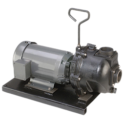 2-inch CI Pump w/ 5 HP Single Phase Electric Motor | 222PIE51 | Banjo Corporation | Category-Pump, Connector Type-Female NPT, Material-Cast Iron