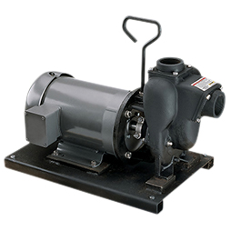 2-inch CI Pump w/ 5 HP Single Phase Electric Motor | 234PIE51 | Banjo Corporation | Category-Pump, Connector Type-Female NPT, Material-Cast Iron
