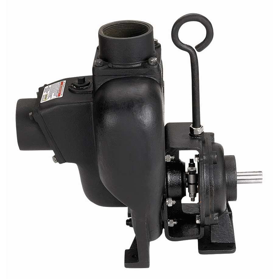 3-inch CI Bearing Pedestal w/ 1-inch Straight Shaft | 300PBI | Banjo Corporation | Category-Pump, Connector Type-Female NPT, Material-Cast Iron
