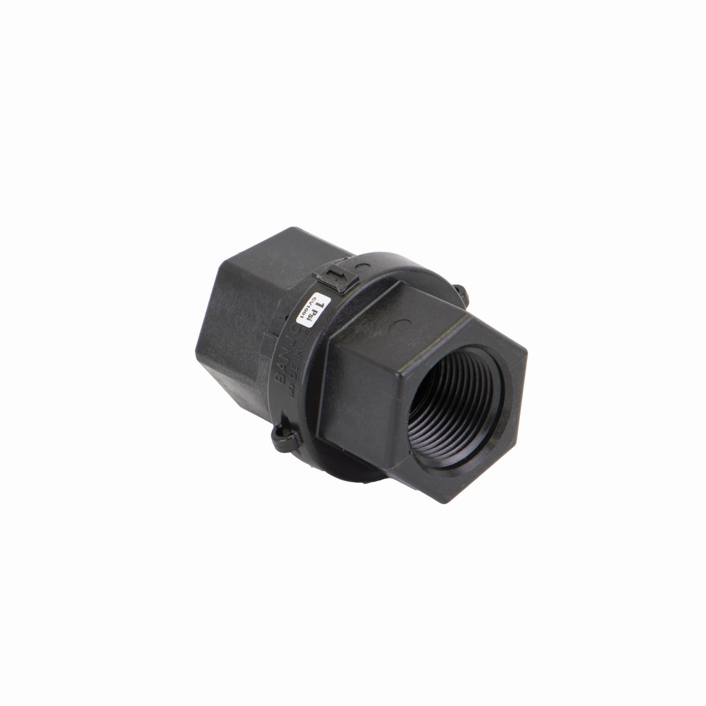 1-inch Check Valve | CV100 | Banjo Corporation | Category-Valve, Connector Type-Female NPT, Material-Polypropylene