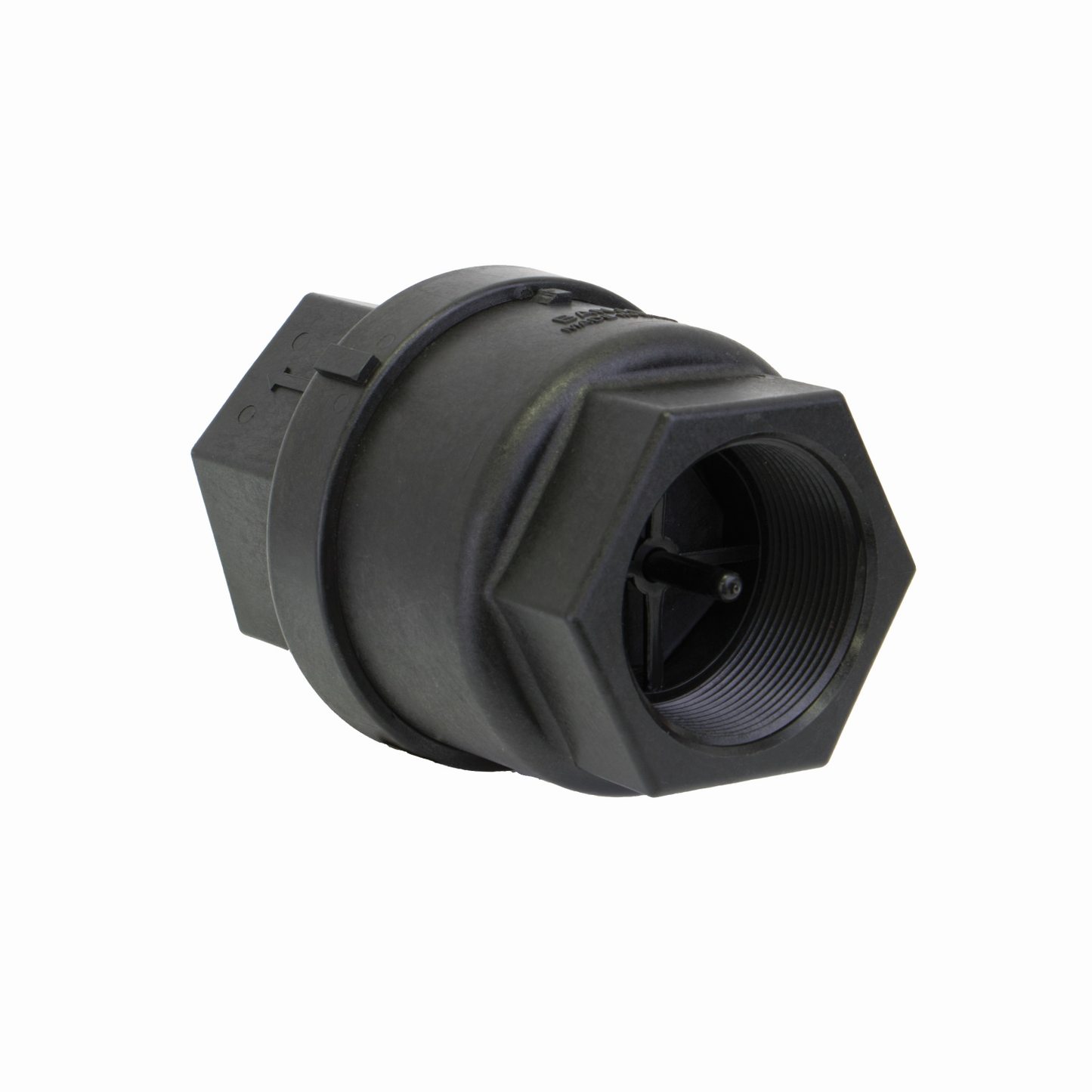 2-inch FP Check Valve | CV221 | Banjo Corporation | Category-Valve, Connector Type-Female NPT, Material-Polypropylene