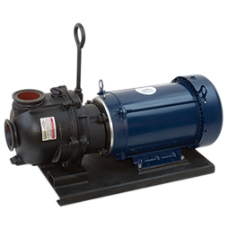 3-inch CI Manifold WS Pump w/ 10 HP Single Phase Electric Motor | M332PIE101W | Banjo Corporation | Category-Pump, Connector Type-Manifold Flange, Material-Cast Iron