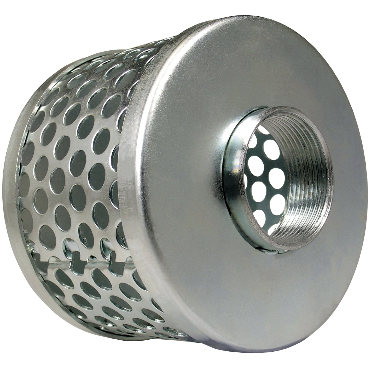 ST Filter 3-inch FNPT | SR300SP | TerreMax | Category-Line Strainer, Connector Type-Female NPT, Material-Steel