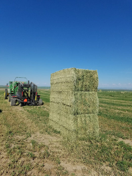John Deere Offers New Solutions For Handling Large Square Balers