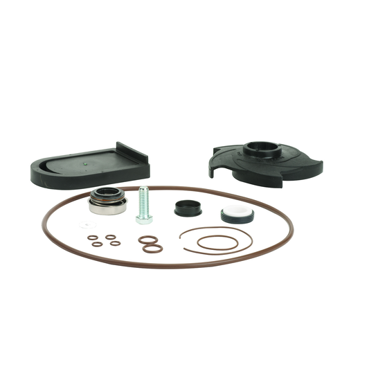 FKM Poly Pump Repair Kit | 12000AV | Banjo Corporation | Category-Pump, Type-Replacement Part