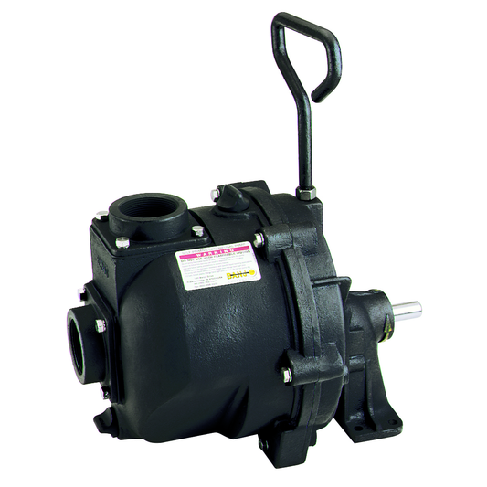 2-inch CI Bearing Pedestal w/ 3/4-inch Straight Keyed Shaft | 222PBI | Banjo Corporation | Category-Pump, Connector Type-Female NPT, Material-Cast Iron