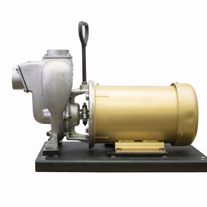 2" SS Pump w/ 5 HP Three Phase Electric Motor