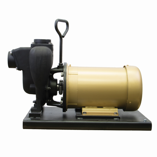 2" CI Pump w/ 5 HP Three Phase Electric Motor