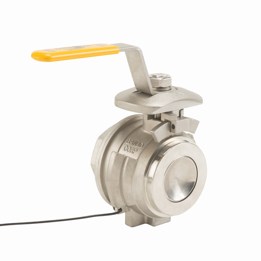 2-inch SS FP Male X Female BSP w/ PTFE Seals | DM220ABSS | Banjo Corporation | Category-Valve, Connector Type-Female BSP, Connector Type-Male Dry Mate