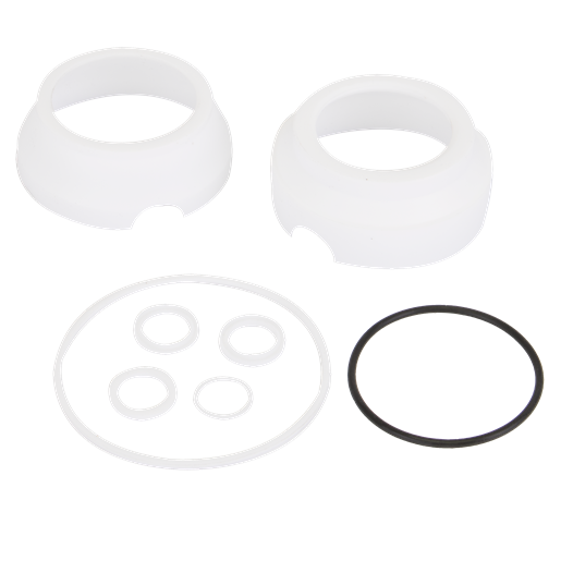 2" FP SS Female DM Repair Kit FKM