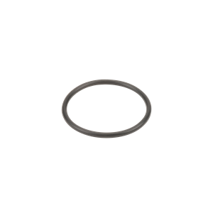 3/4" & 1" Poly T Strainer Gasket | LST100-G | Banjo Corporation